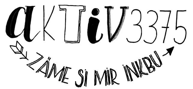 aktiv 3375 Inkwil